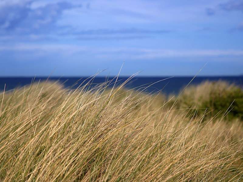 Yellowcraig Beach - Lothian