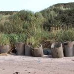 Irvine Bay - dunes and sea defences