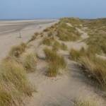 Sand dunes and Talacre Beach