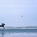 Horse galloping in surf, Bognor Regis, West Sussex