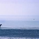 Horse being exercised on beach, Bognor Regis, West Sussex