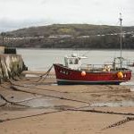 Old quay at New Quay
