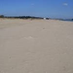 Shell Bay Beach Studland