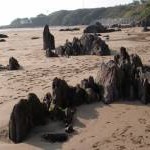 Rocks in the sand, Bigbury on Sea