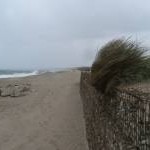Hengistbury Head: newish beach wall